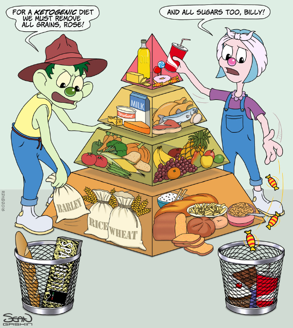 ketogenic-diet-cartoon-small