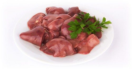 kidney