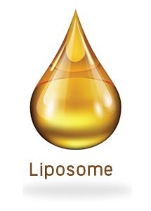Liposome