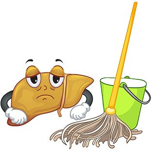 liver-clean