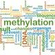 Methylation: Essential for Good Health