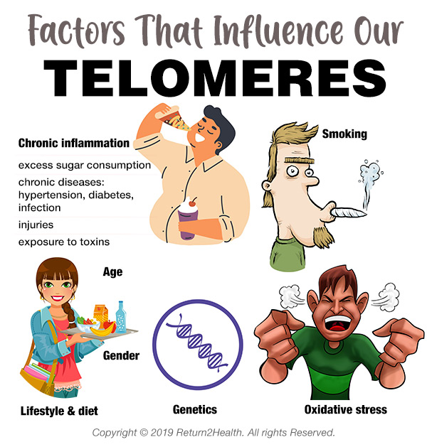 Factors That Influence Our Telomeres 