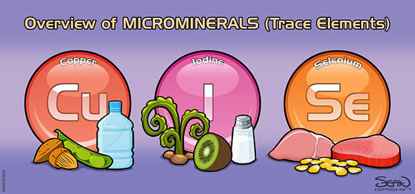 Microminerals
