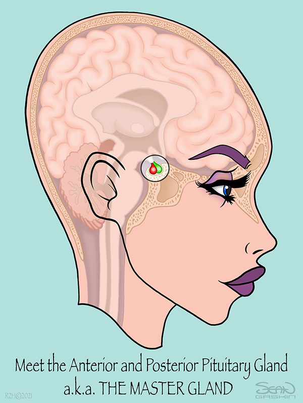 hearing tests