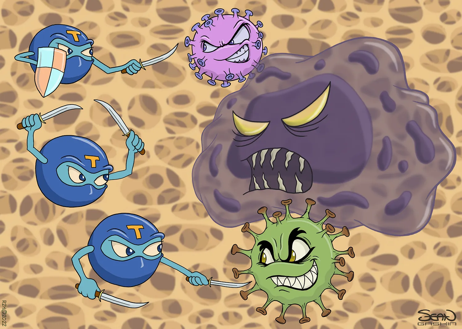 T-cells