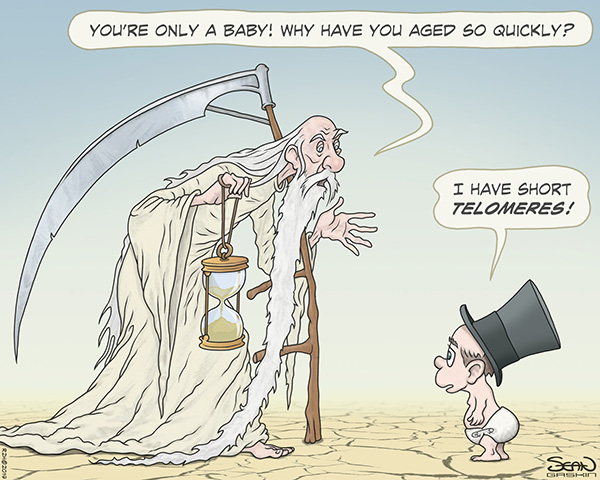 Telomeres-cartoon