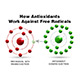 Antioxidants: Why Do We Need Them? 
