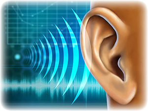 Ear