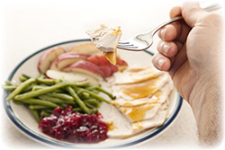rbite-of-thanksgiving-turkey-2530054