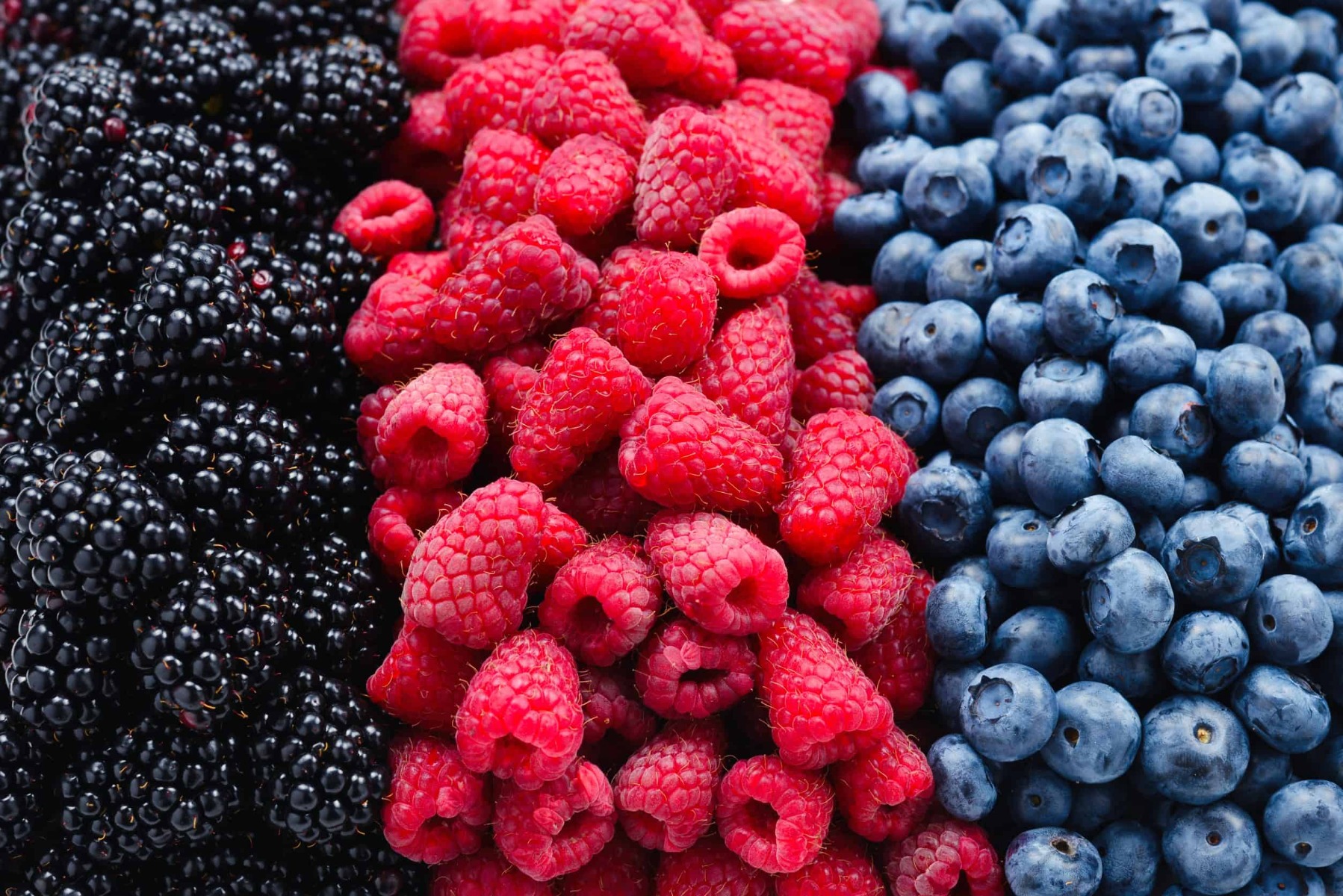 Blue, Purple, and Red Foods