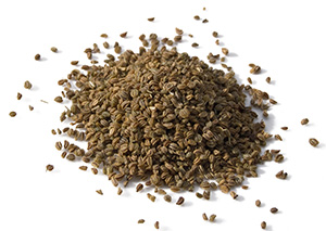 celery-seed-pile-isolated-0977925