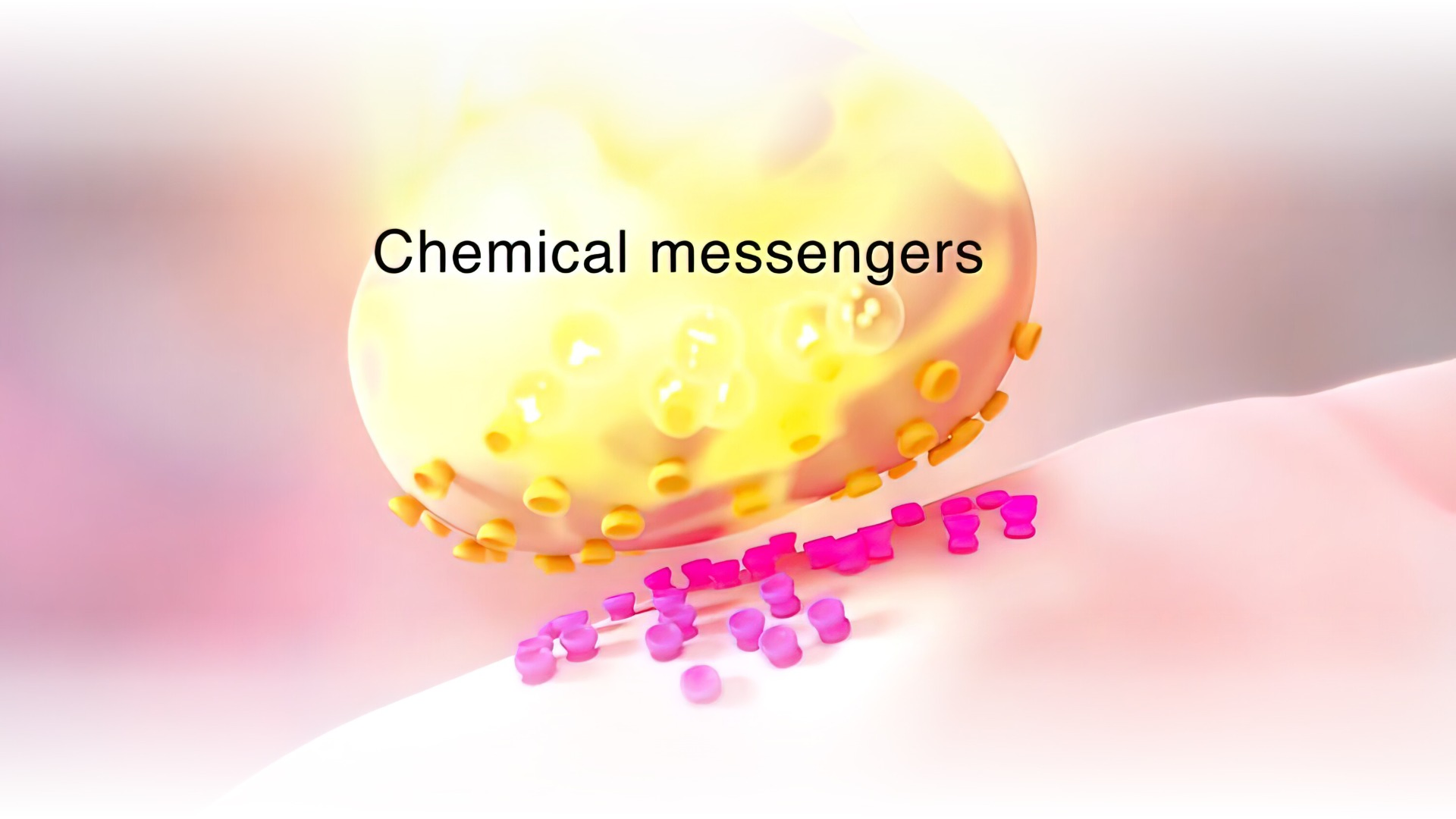 Chemical Messengers