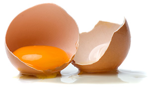 chicken-egg-on-white-background-2705124
