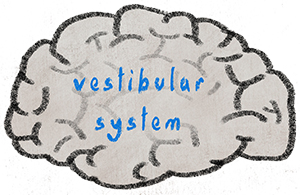 drawind-of-human-brain-on-chalkboard-72253325