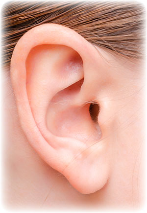 ear-of-a-young-woman-13204861