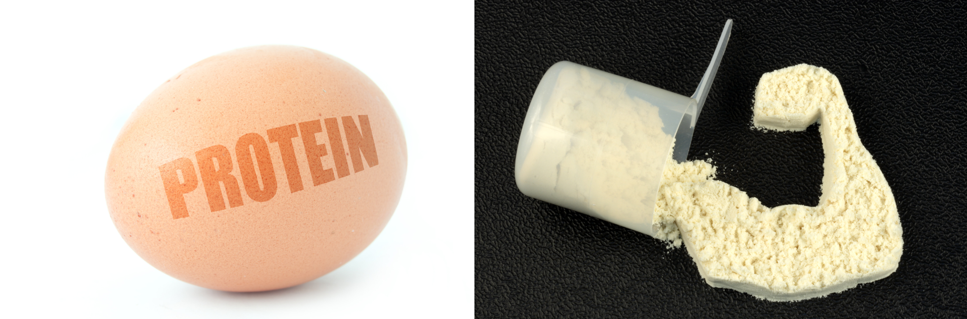 Egg and Powder