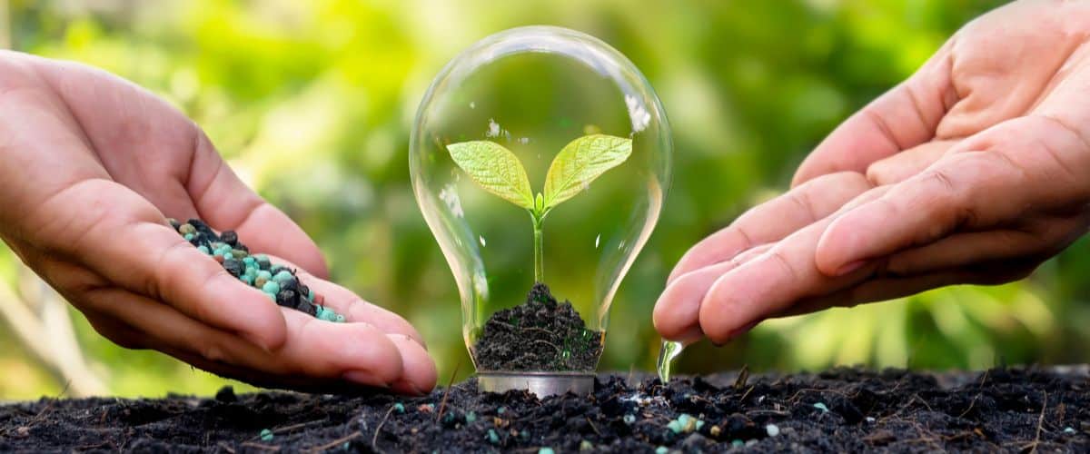 Planting a new plant with fertiliser