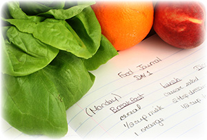food-journal-0317059