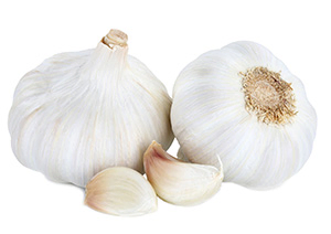 Garlic