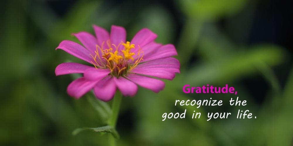 Gratitude recognize the good in your life.