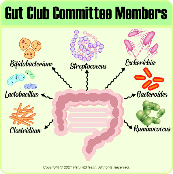 gut-club