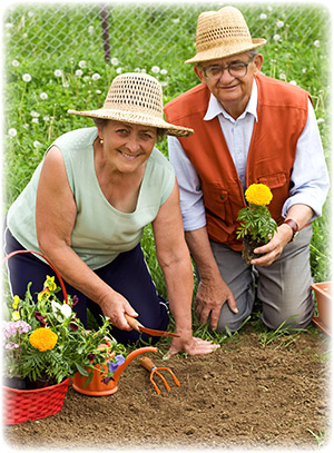happy-healthy-seniors-gardening-3702989