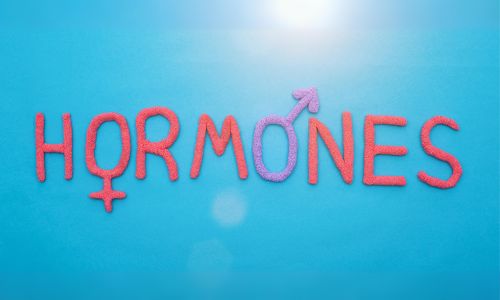 Hormones
