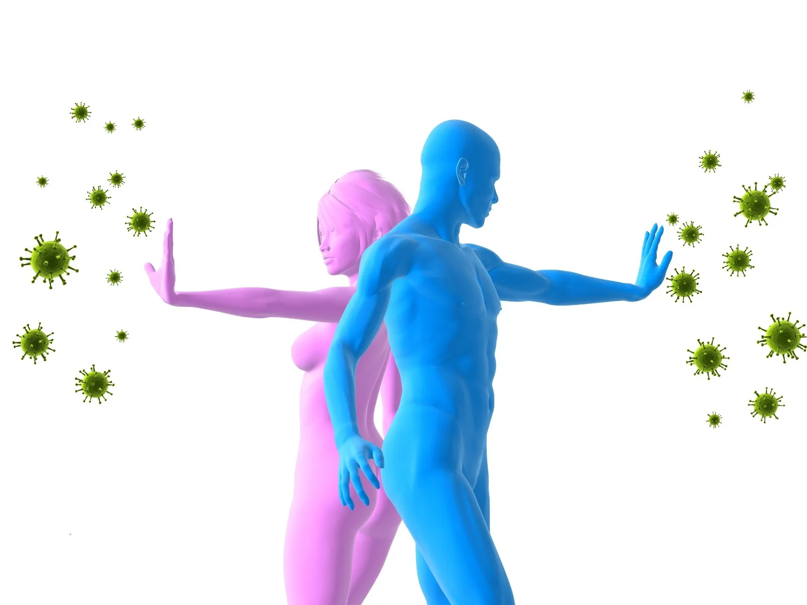 Immune System
