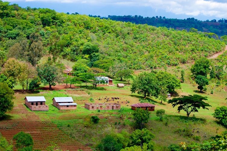 An African village
