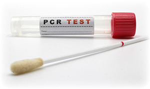 PCR Test