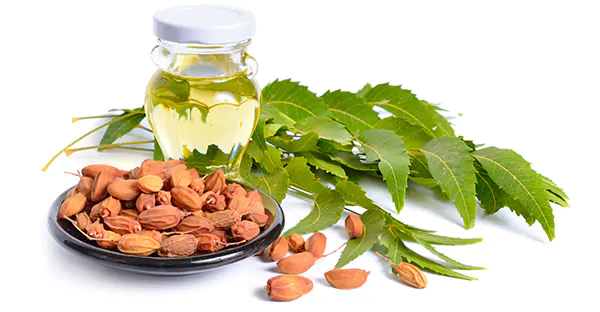 Neem Oil