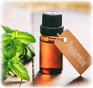 Peppermint