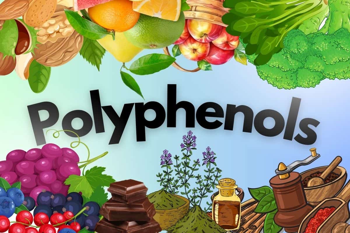 Polyphenols
