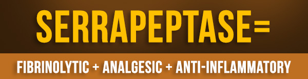 serrapeptase-info