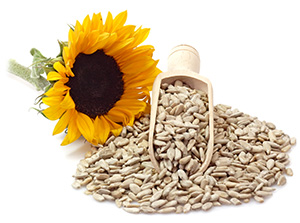sunflower-seeds-1640293