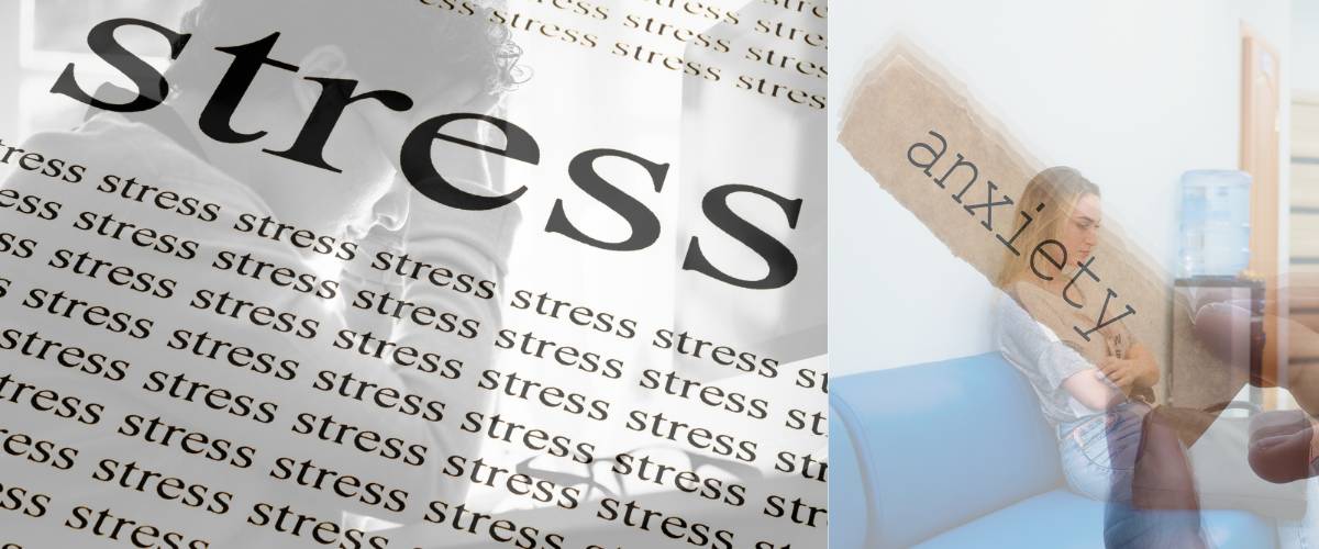 Stress and Anxiety