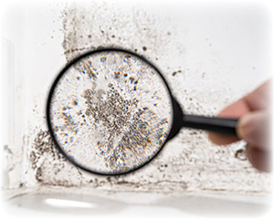 Magnifying Glass