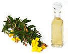 primrose-oil