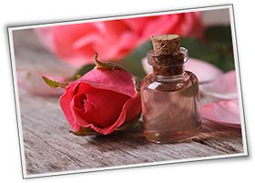 rose