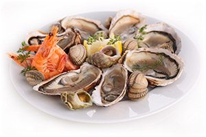 Shellfish