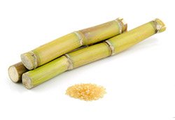 sugar-cane-and-brown-sugar