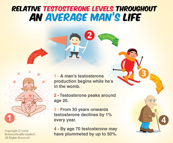 Testosterone Levels Throughout a man's Life Testosterone Levels Throughout a man's Life