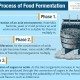 Fermented and Cultured Foods; The Basics
